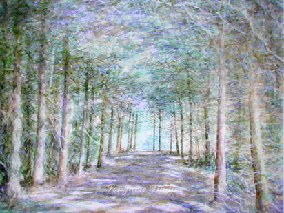 Bonnie's Way