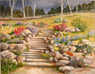 Rock Garden